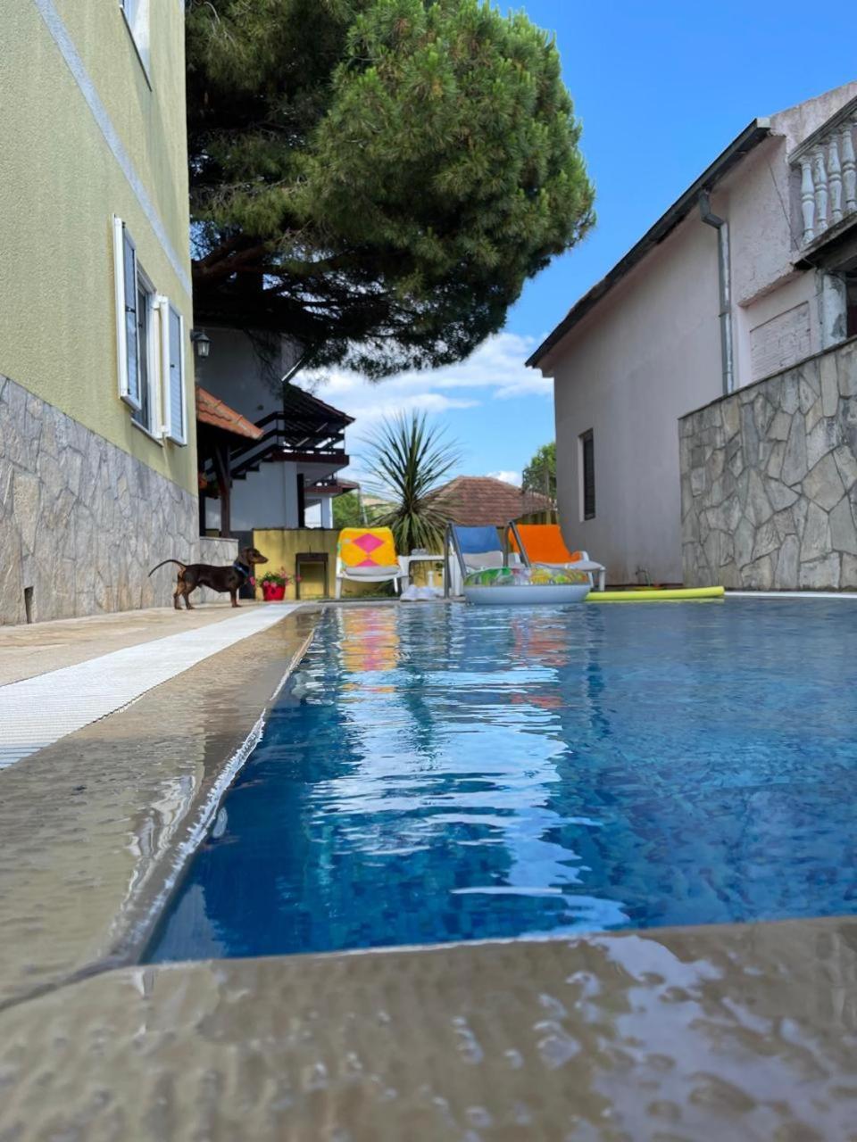 Apartments Villa-G Lustica Tivat Kültér fotó